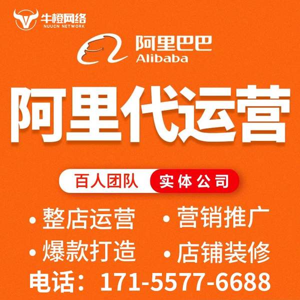 巢湖电商代运营
