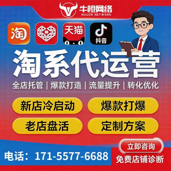 巢湖电商代运营