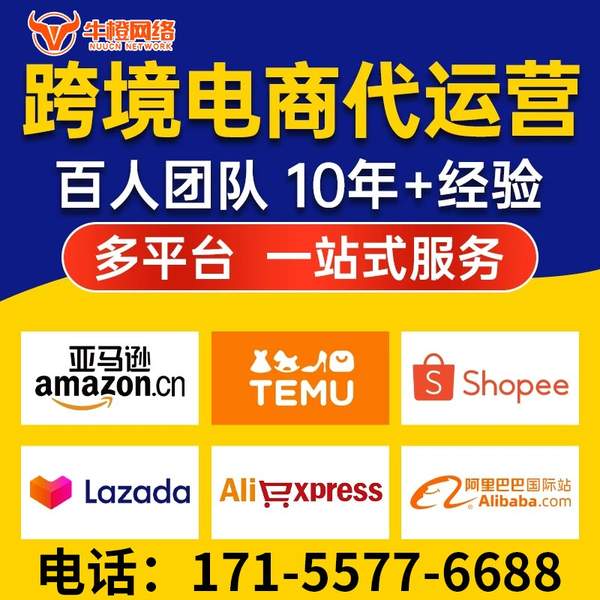 巢湖电商代运营