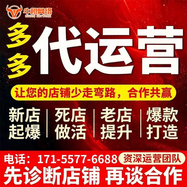 巢湖电商代运营