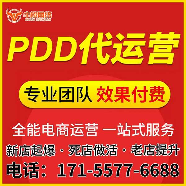 巢湖电商代运营