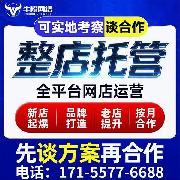 巢湖电商代运营