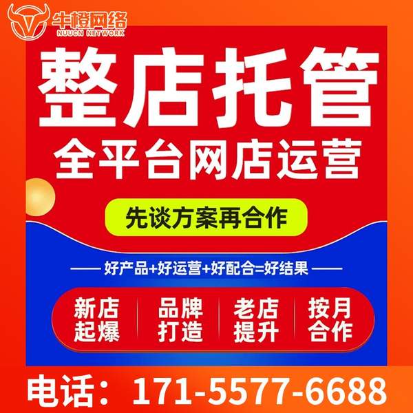 巢湖电商代运营
