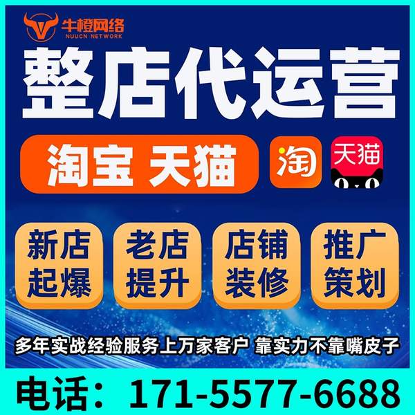 巢湖电商代运营