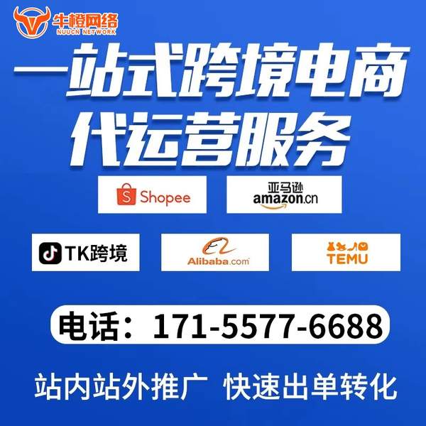 巢湖电商代运营