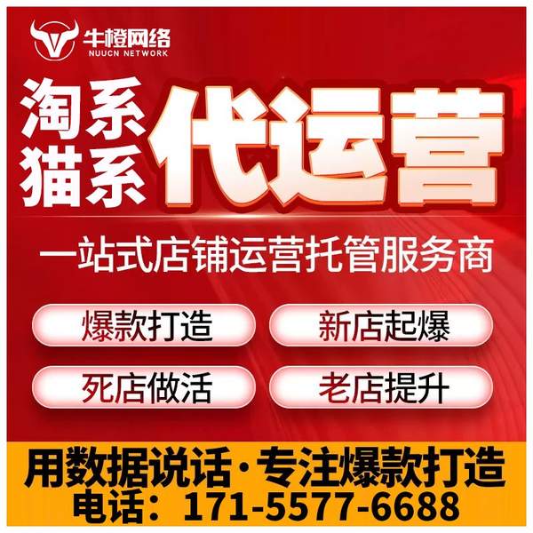 巢湖电商代运营